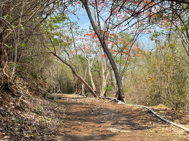 Hiện trường vụ phát hiện ra chiếc va li