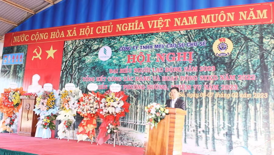 Phó Chủ tịch UBND tỉnh Nguyễn Hữu Quế phát biểu tại Hội nghị. Ảnh: Nguyễn Diệp