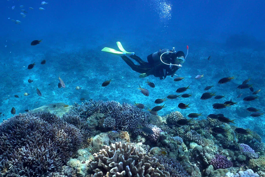 Lặn ở Okinawa - hoạt động không nên bỏ qua đối với người yêu thích khám phá hải dương học. (Ảnh: Visit Okinawa Japan)