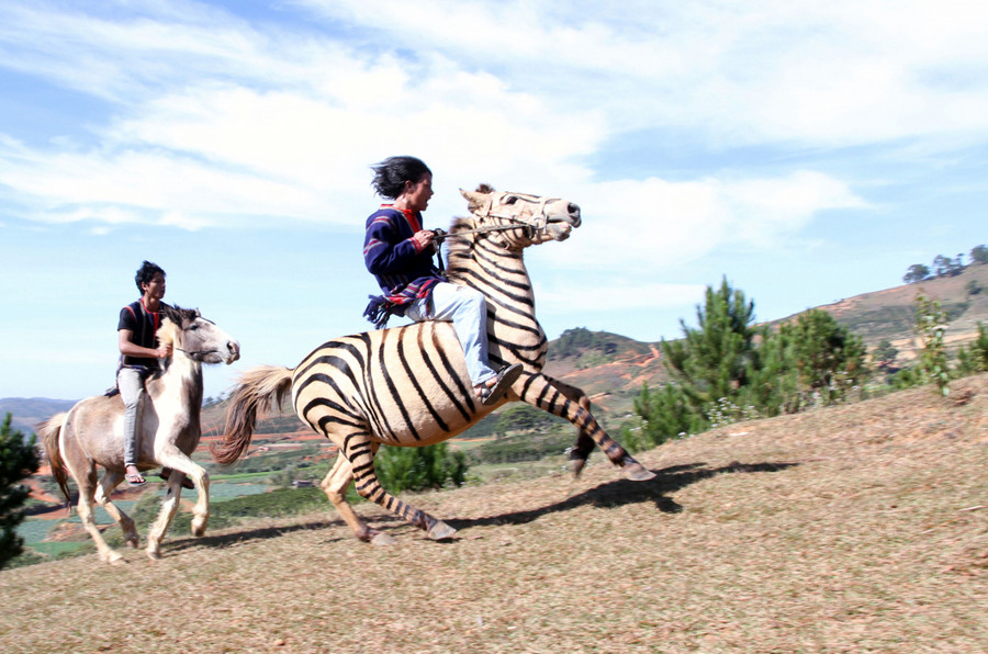 Đua ngựa ở Lang Biang. Đua ngựa ở Lang Biang.