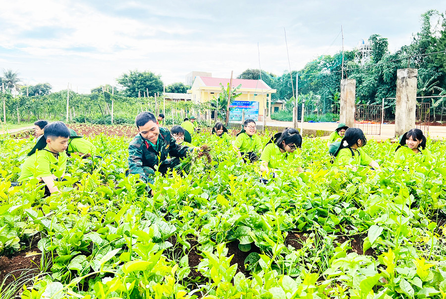 Tăng gia sản xuất là một nội dung trong chương trình Học kỳ trong quân đội được các học viên thích thú. Ảnh: Phan Lài Tăng gia sản xuất là một nội dung trong chương trình Học kỳ trong quân đội được các học viên thích thú. Ảnh: Phan Lài