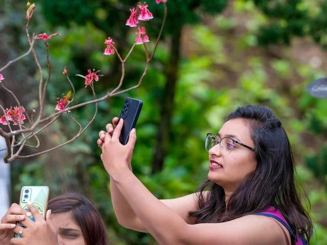 Du khách check-in với hoa đào chuông tại Sun World Ba Na Hills Du khách check-in với hoa đào chuông tại Sun World Ba Na Hills