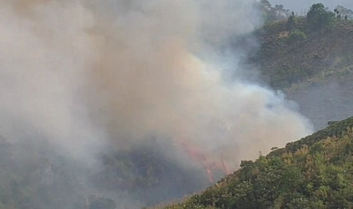 Đám khói cao hàng chục mét bốc lên từ khu vực rừng bị cháy tại thôn 11, xã Đại Lào, TP Bảo Lộc