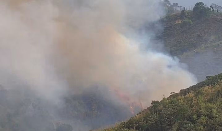 Đám khói cao hàng chục mét bốc lên từ khu vực rừng bị cháy tại thôn 11, xã Đại Lào, TP Bảo Lộc