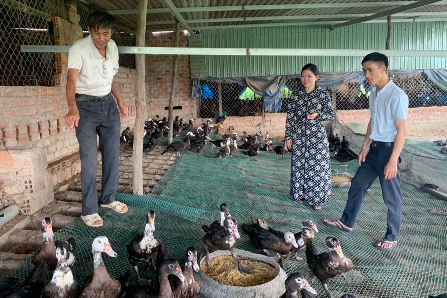 Mô hình nuôi vịt trên sàn vừa đảm bảo vệ sinh môi trường vừa tăng thu nhập cho người chăn nuôi. Ảnh: V.C Mô hình nuôi vịt trên sàn vừa đảm bảo vệ sinh môi trường vừa tăng thu nhập cho người chăn nuôi. Ảnh: V.C