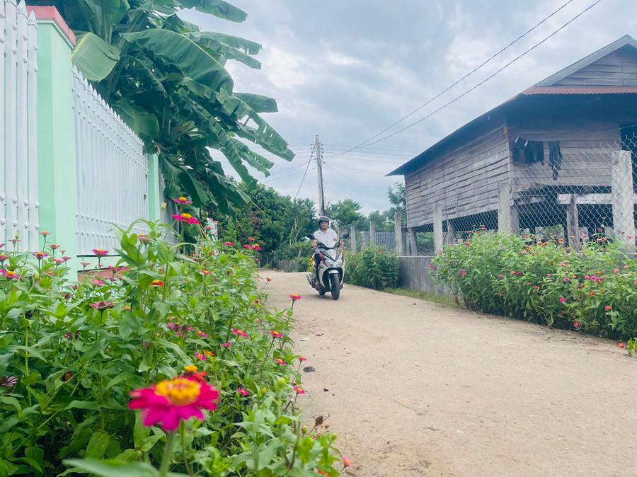 Những con đường hoa giúp diện mạo buôn HLiếp thêm xanh-sạch-đẹp. Ảnh: V.C Những con đường hoa giúp diện mạo buôn HLiếp thêm xanh-sạch-đẹp. Ảnh: V.C