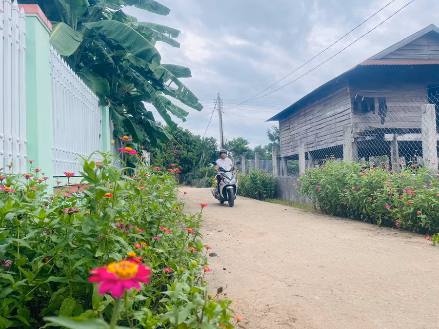 Những con đường hoa giúp diện mạo buôn HLiếp thêm xanh-sạch-đẹp. Ảnh: V.C