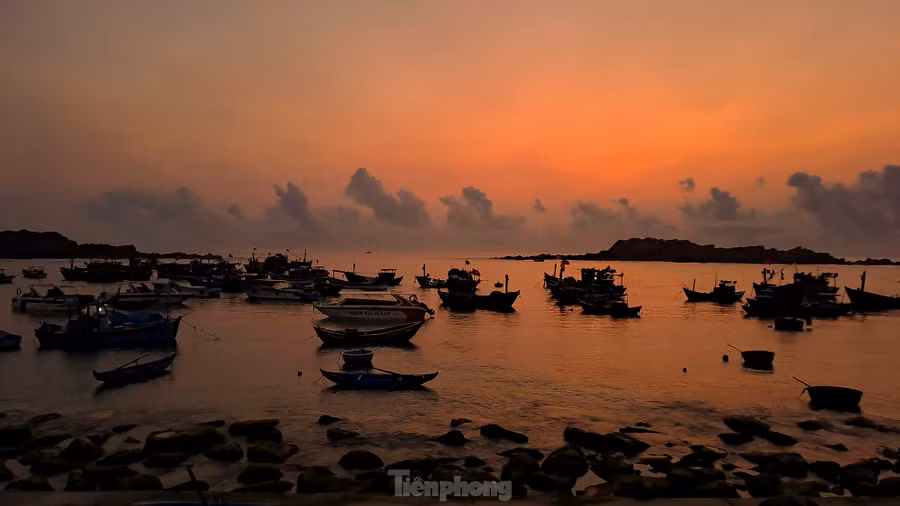 Hàng ngày, khi thủy triều xuống, những thảm rêu xanh bắt đầu lộ ra. Theo người dân địa phương, thời điểm đẹp nhất để tận hưởng khoảnh khắc này là sáng sớm, lúc mặt trời ló dạng, thủy triều rút. Ảnh: Trương Định