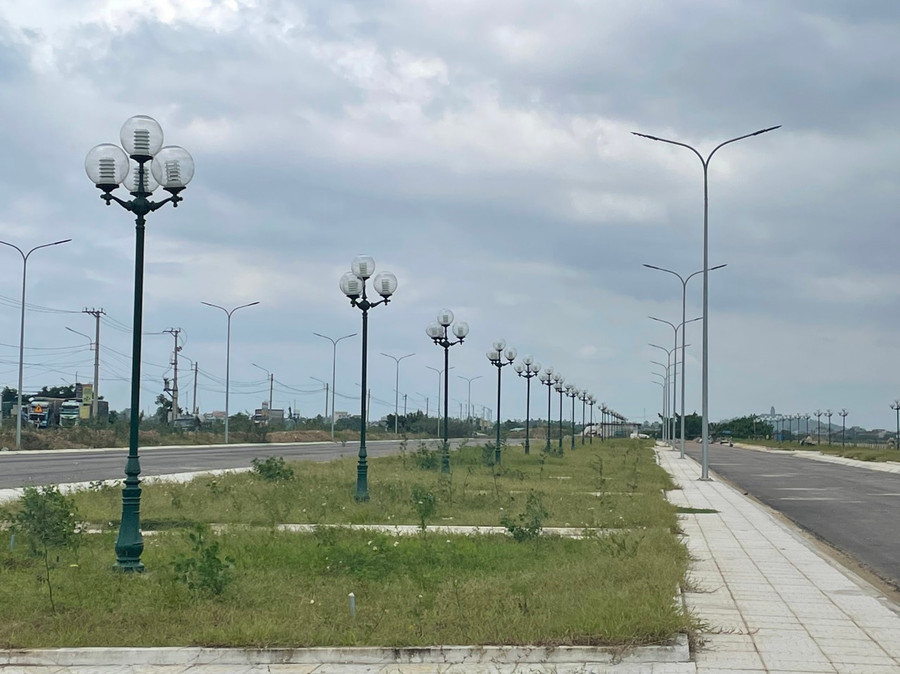 Khu vực trưng bày mai cảnh vào dịp tết ở xã Nhơn An, TX An Nhơn (Bình Định). Ảnh: THU DỊU