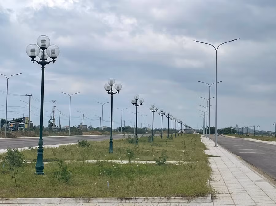 Khu vực trưng bày mai cảnh vào dịp tết ở xã Nhơn An, TX An Nhơn (Bình Định). Ảnh: THU DỊU