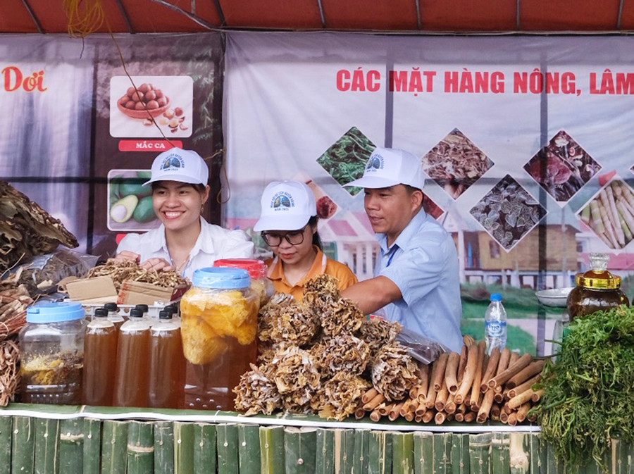 Gian hàng nông-lâm sản của vùng đất Kbang. Ảnh: M.C Gian hàng nông-lâm sản của vùng đất Kbang. Ảnh: M.C