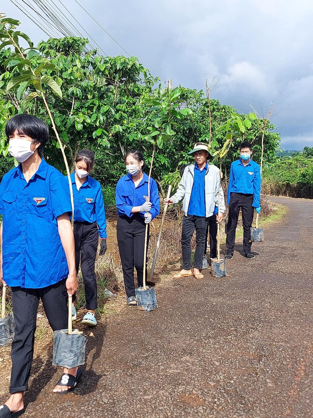Thanh niên Huyện đoàn Bảo Lâm trồng cây phân tán. Ảnh: HUYỆN ĐOÀN BẢO LÂM Thanh niên Huyện đoàn Bảo Lâm trồng cây phân tán. Ảnh: HUYỆN ĐOÀN BẢO LÂM