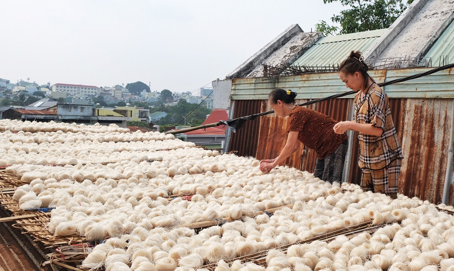 Bánh phở luôn được kiểm tra trong quá trình phơi, đảm bảo vừa đúng độ mềm, dẻo để đưa vào máy cắt sợi. Ảnh: Hoàng Ngọc