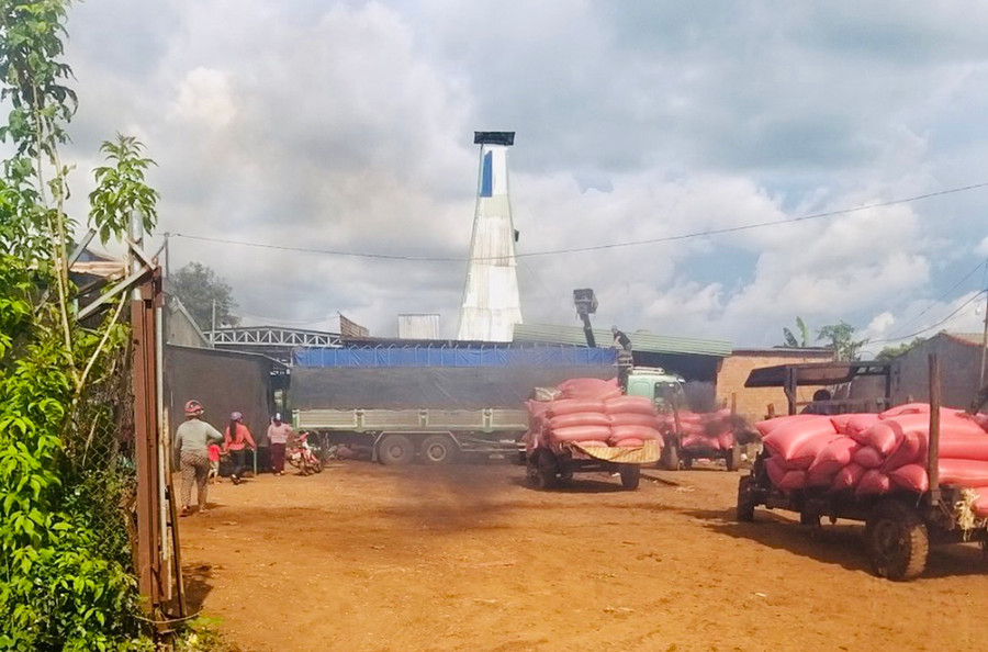 Người dân phản ánh cơ sở kinh doanh Bảy Gắng (thôn Hòa Thuận, xã Ia Phang) hoạt động gây ô nhiễm môi trường. Ảnh: H.T Người dân phản ánh cơ sở kinh doanh Bảy Gắng (thôn Hòa Thuận, xã Ia Phang) hoạt động gây ô nhiễm môi trường. Ảnh: H.T