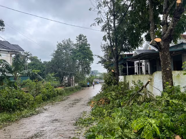 Khu vực xuống cầu phao được phát quang