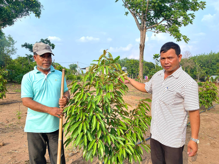 Ông Rơ Châm Biểu (bìa trái, làng Jut, xã Ia Phí, huyện Chư Păh) trồng cây ăn quả để tăng thu nhập. Ảnh: Minh Nguyễn