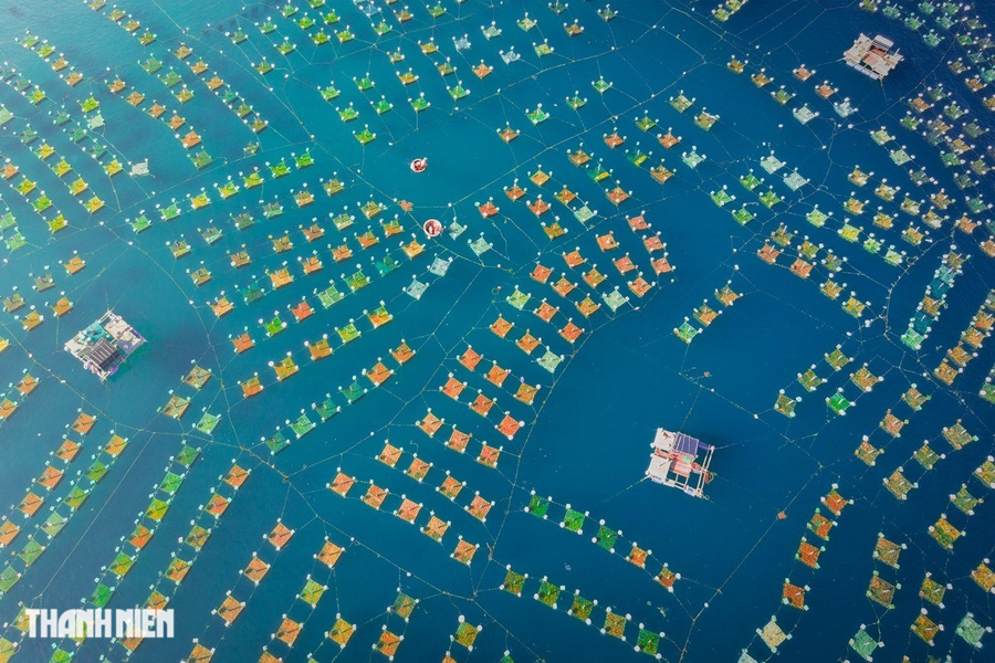 Lồng nuôi tôm hùm ở Hòn Yến, Phú Yên là tác phẩm của Cao Kỳ Nhân. Ngoài việc ra khơi đánh cá, người dân Hòn Yến còn có các khu bè nuôi tôm hùm, nhìn từ trên cao khu vực lồng nuôi san sát nhau những chiếc phao nhỏ lênh đênh giữa biển.