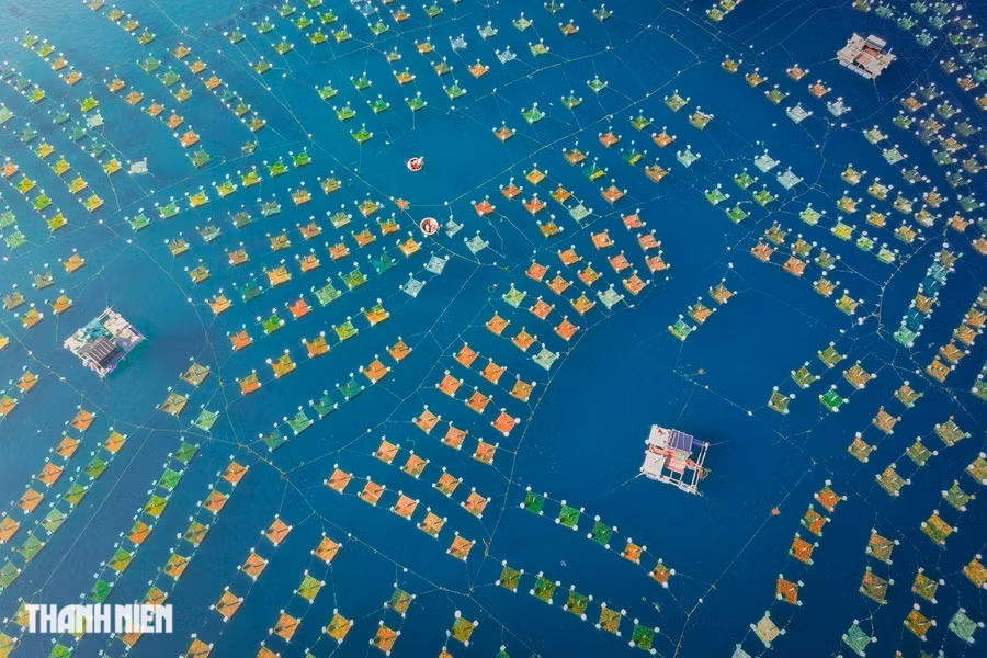 Lồng nuôi tôm hùm ở Hòn Yến, Phú Yên là tác phẩm của Cao Kỳ Nhân. Ngoài việc ra khơi đánh cá, người dân Hòn Yến còn có các khu bè nuôi tôm hùm, nhìn từ trên cao khu vực lồng nuôi san sát nhau những chiếc phao nhỏ lênh đênh giữa biển.