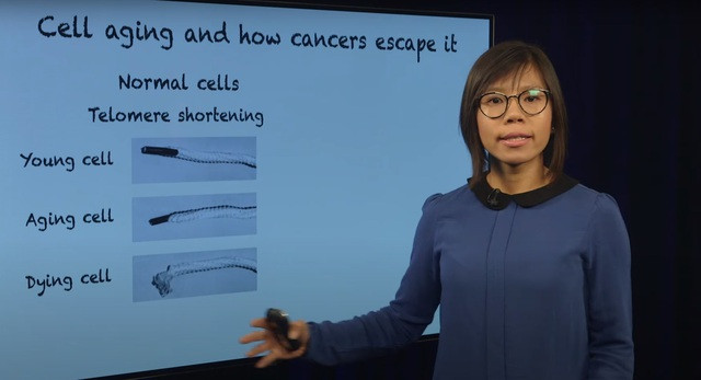 Tiến sĩ Hoàng Dương thuyết minh về nghiên cứu của mình.