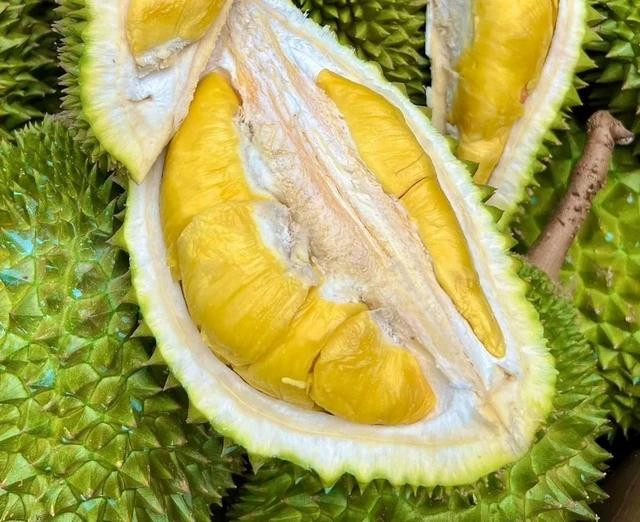 Sầu riêng Việt Nam bị ảnh hưởng vì nắng nóng khiến kim ngạch xuất khẩu tăng chậm. Ảnh: M.Đ Sầu riêng Việt Nam bị ảnh hưởng vì nắng nóng khiến kim ngạch xuất khẩu tăng chậm. Ảnh: M.Đ