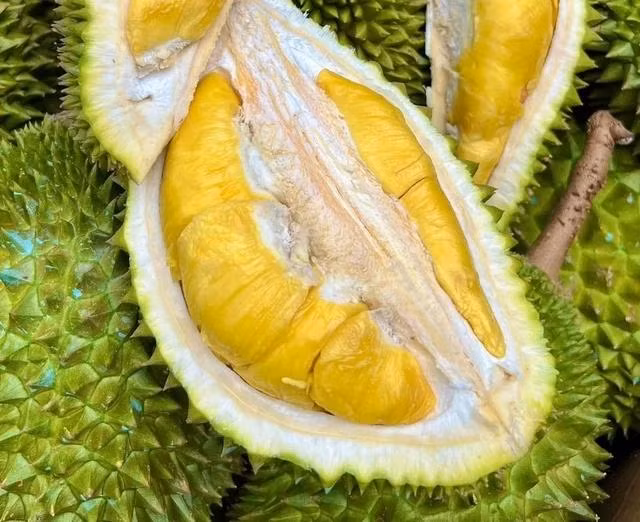 Sầu riêng Việt Nam bị ảnh hưởng vì nắng nóng khiến kim ngạch xuất khẩu tăng chậm. Ảnh: M.Đ