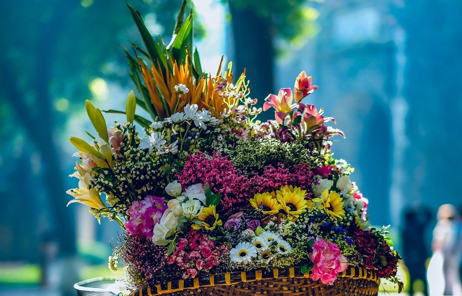 Thu Hà Nội với sắc hoa rực rỡ khắp phố phường. (Ảnh: PV/Vietnam+)