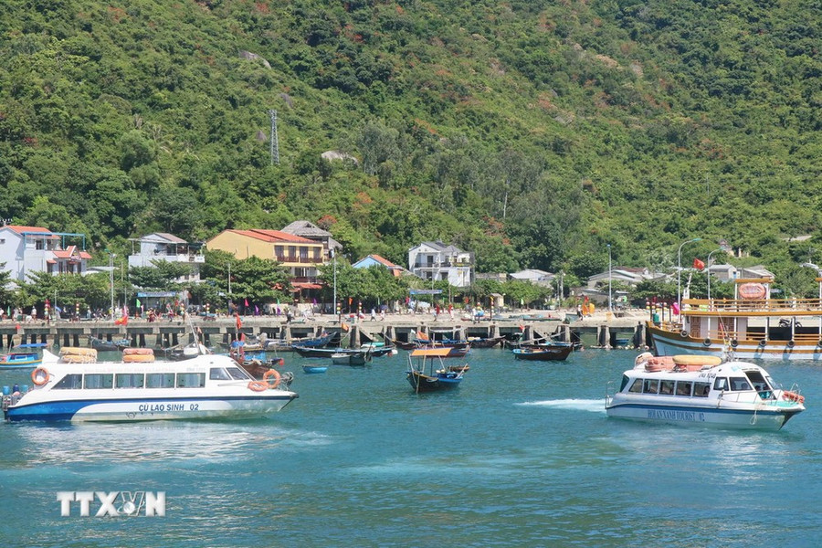 Canô đưa du khách ngắm san hô ở Cù Lao Chàm. (Ảnh: Đoàn Hữu Trung/TTXVN) Canô đưa du khách ngắm san hô ở Cù Lao Chàm. (Ảnh: Đoàn Hữu Trung/TTXVN)