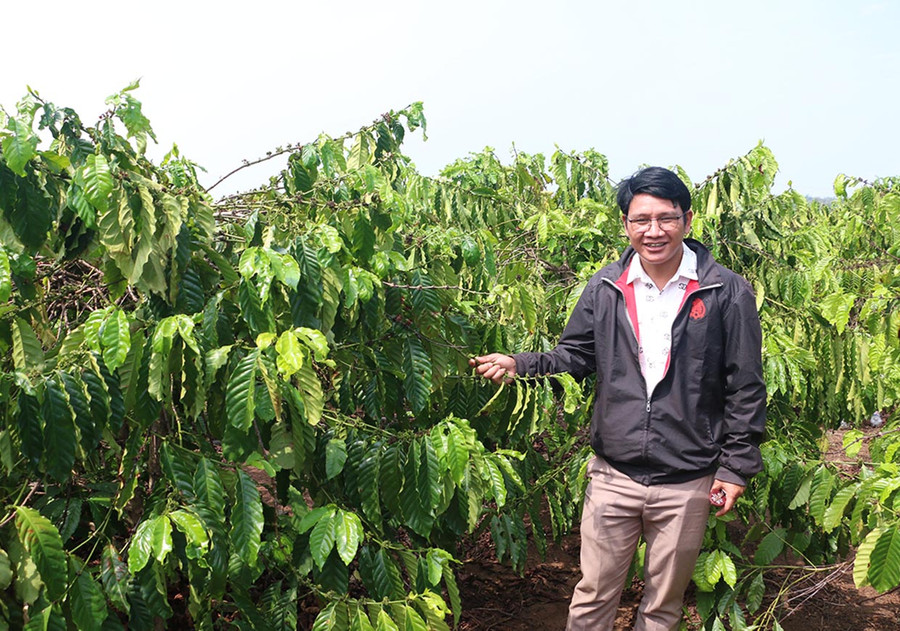 Đời sống kinh tế gia đình anh Rmah Chê (làng Kjai Tăng) ngày càng ổn định. Ảnh: Q.T Đời sống kinh tế gia đình anh Rmah Chê (làng Kjai Tăng) ngày càng ổn định. Ảnh: Q.T