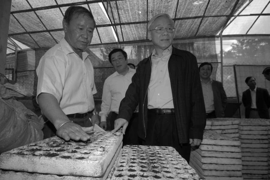 Tổng Bí thư Nguyễn Phú Trọng tìm hiểu cách nhân giống rau. Ảnh: LÂM VIÊN Tổng Bí thư Nguyễn Phú Trọng tìm hiểu cách nhân giống rau. Ảnh: LÂM VIÊN