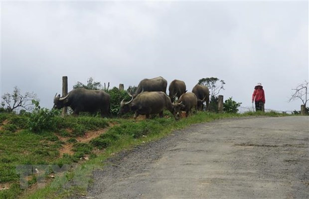 Địa bàn huyện Kon Plông. (Ảnh: Dư Toán/TTXVN)