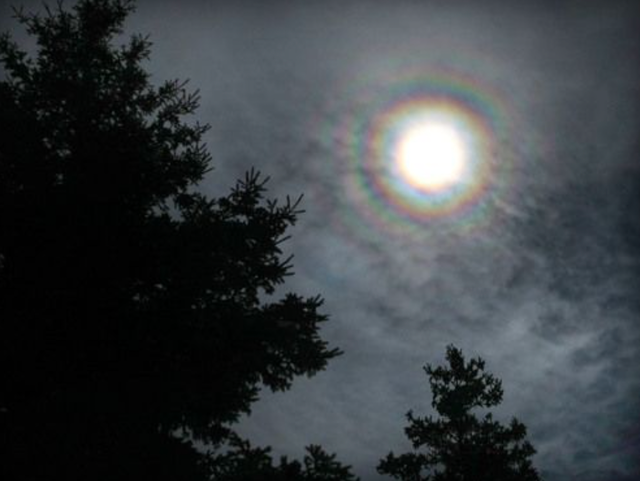 Hiện tượng trăng tán. Ảnh: VACA