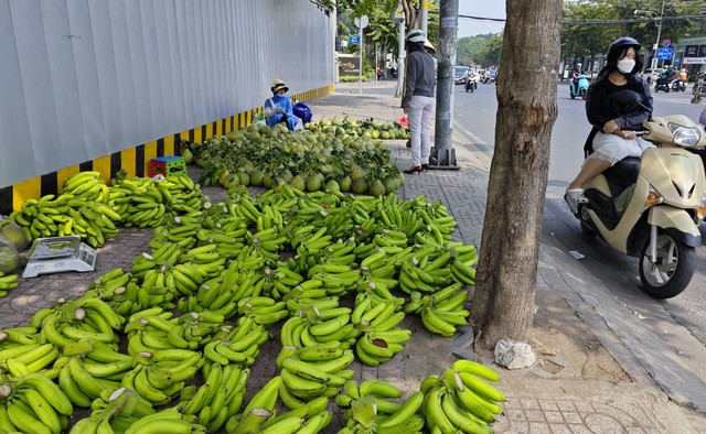Chuối xuất khẩu được bán vỉa hè tại TP HCM Chuối xuất khẩu được bán vỉa hè tại TP HCM