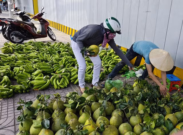 Bưởi và chuối đang bị dội chợ