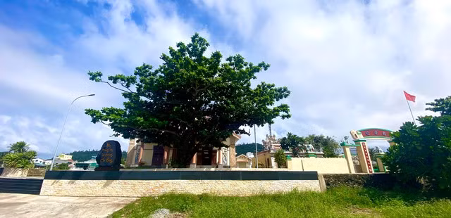 Lăng Tân thờ cá voi nằm ở thôn Đông An Vĩnh, H.Lý Sơn (Quảng Ngãi)