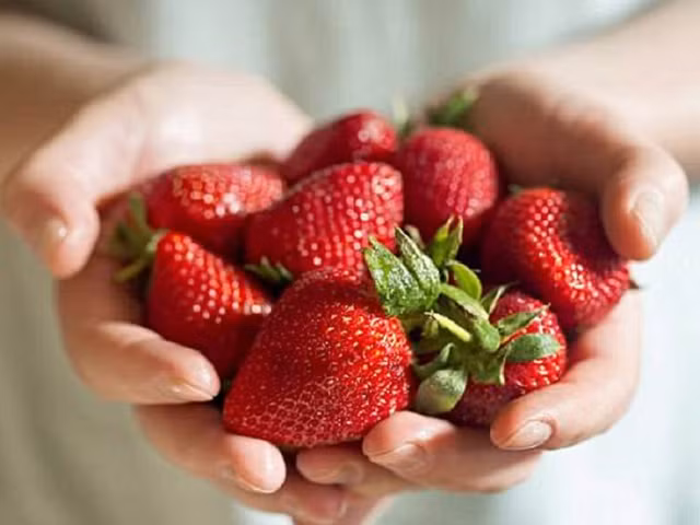 Dâu tây được chứng minh giúp giảm tích tụ mảng bám cholesterol trong máu, từ đó giảm nguy cơ đau tim, đột quỵ. Ảnh: SHUTTERSTOCK