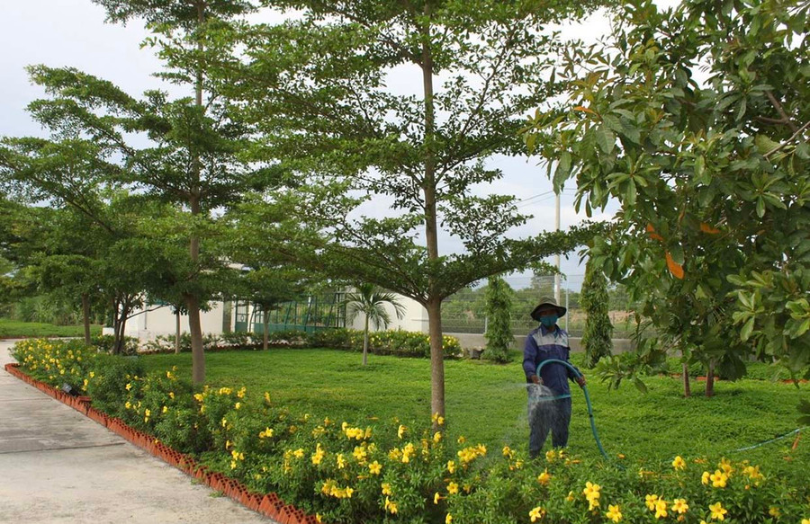 Khuôn viên Nhà máy sản xuất phân hữu cơ vi sinh được trồng nhiều cây xanh để giảm thiểu ô nhiễm môi trường. Ảnh: Vũ Chi