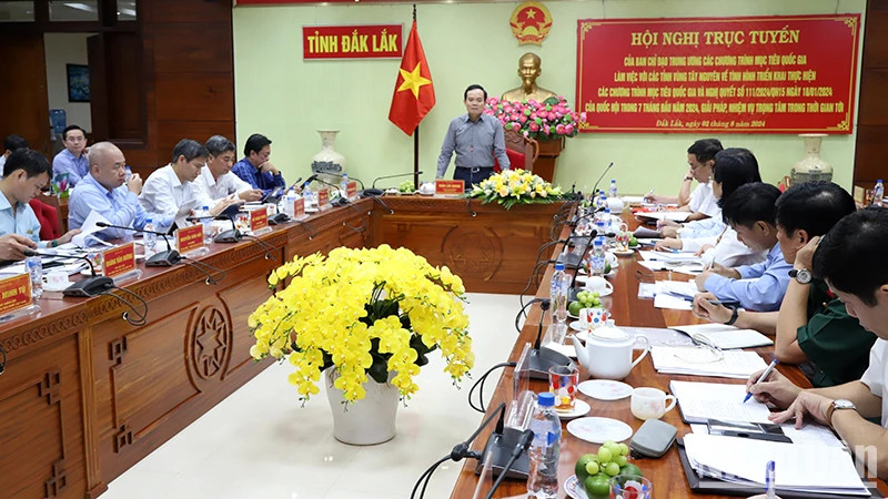 Phó Thủ tướng Trần Lưu Quang phát biểu chỉ đạo tại hội nghị. Ảnh CÔNG LÝ/NDO