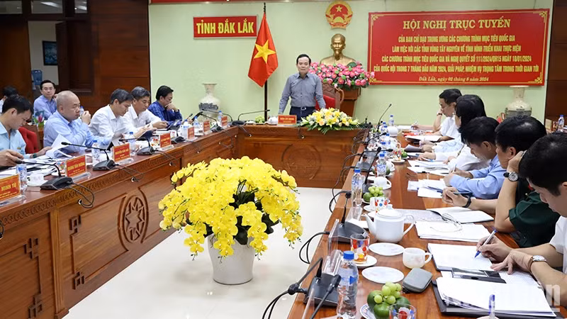 Phó Thủ tướng Trần Lưu Quang phát biểu chỉ đạo tại hội nghị. Ảnh CÔNG LÝ/NDO