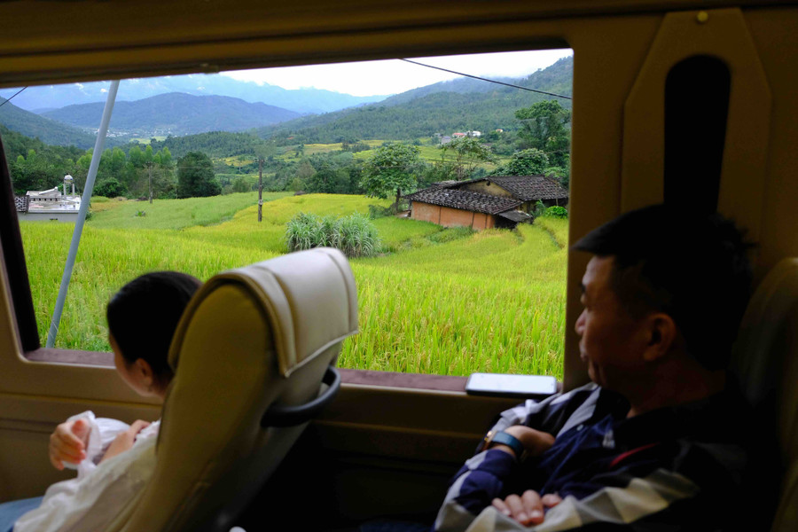 Ruộng bậc thang được người dân địa phương trồng khá nhiều, từ cửa kính ô tô du khách được ngắm nhìn khung cảnh núi rừng Bình Liêu tuyệt đẹp khi vào mùa lúa chín. Ảnh: LÃ NGHĨA HIẾU