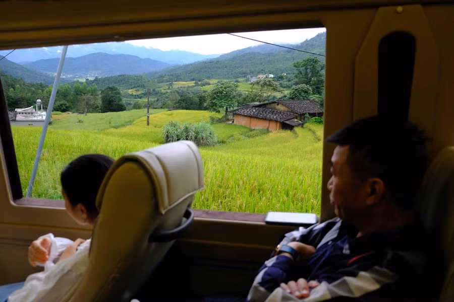 Ruộng bậc thang được người dân địa phương trồng khá nhiều, từ cửa kính ô tô du khách được ngắm nhìn khung cảnh núi rừng Bình Liêu tuyệt đẹp khi vào mùa lúa chín. Ảnh: LÃ NGHĨA HIẾU