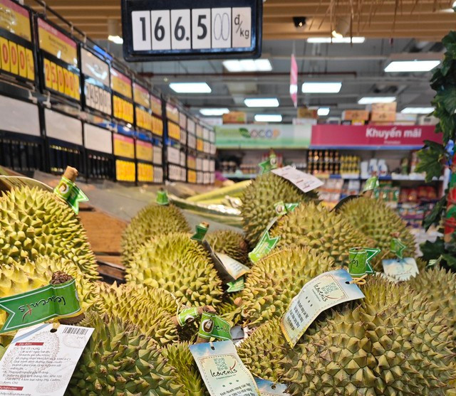 Sầu riêng Ri 6 miền Tây có giá hơn 160.000 đồng/kg