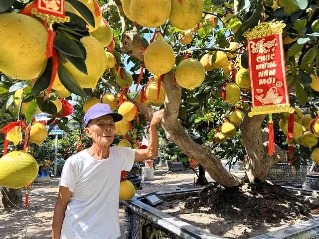 Nhiều vườn bưởi Diễn trên đường Mai Chí Thọ (TP.Thủ Đức) chủ động giảm giá sớm để hút khách. ẢNH: Minh Đăng