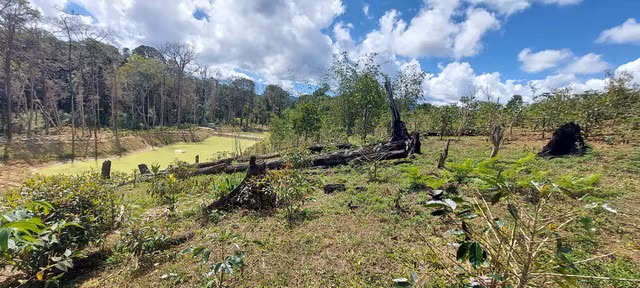 11 dự án đầu tư tại H.Kon Plông để mất rừng, trong đó có 6 dự án có dấu hiệu vi phạm pháp luật hình sự về tội hủy hoại rừng. Ảnh: ĐỨC NHẬT