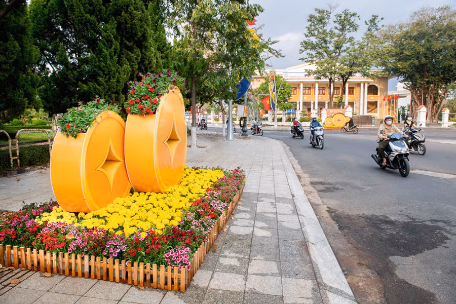 Các cụm hoa cúc, dạ yến thảo, cẩm chướng trang trí tại vỉa hè đường Trần Phú, Bà Triệu.