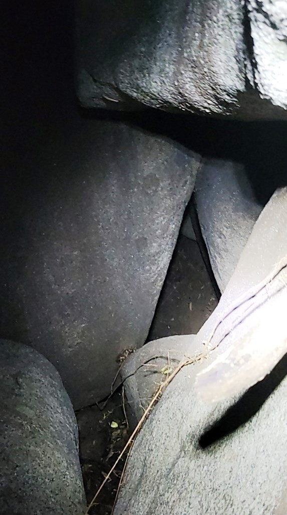 Gộp đá ở khu vực núi xã Diên Lâm mà Phan Danh Hưng lẩn trốn, cách hiện trường vụ án khoảng 5km đường chim bay Gộp đá ở khu vực núi xã Diên Lâm mà Phan Danh Hưng lẩn trốn, cách hiện trường vụ án khoảng 5km đường chim bay