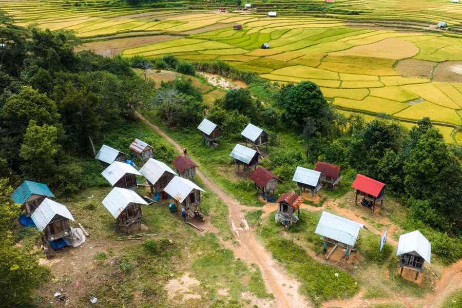 Quần thể kho lúa được người dân làng Kon Tu Rằng dựng ngay bên cánh đồng. Ảnh: NB