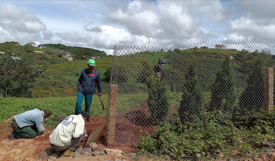 Khu vực đất rừng bị giải tỏa, hiện khu vực này chưa xác định được đối tượng vi phạm Khu vực đất rừng bị giải tỏa, hiện khu vực này chưa xác định được đối tượng vi phạm