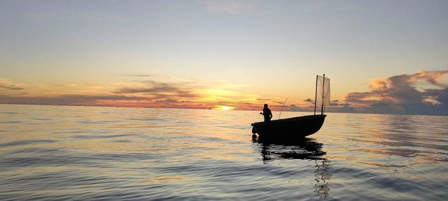 250 ngày mỗi năm - Ảnh 4. Ngư dân câu mực trên biển vào chiều tối. Ảnh: NVCC