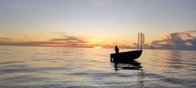 Ngư dân câu mực trên biển vào chiều tối. Ảnh: NVCC