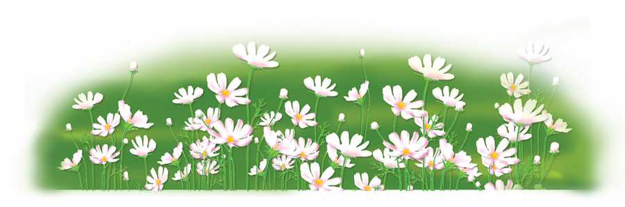 Minh họa: Huyền Trang Minh họa: Huyền Trang